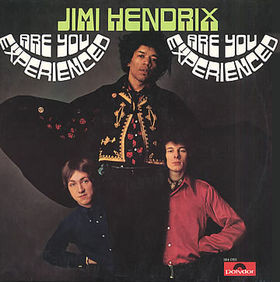 Cover for Are You Experienced