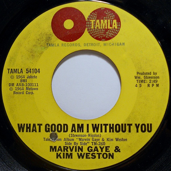Cover for What Good Am I Without You