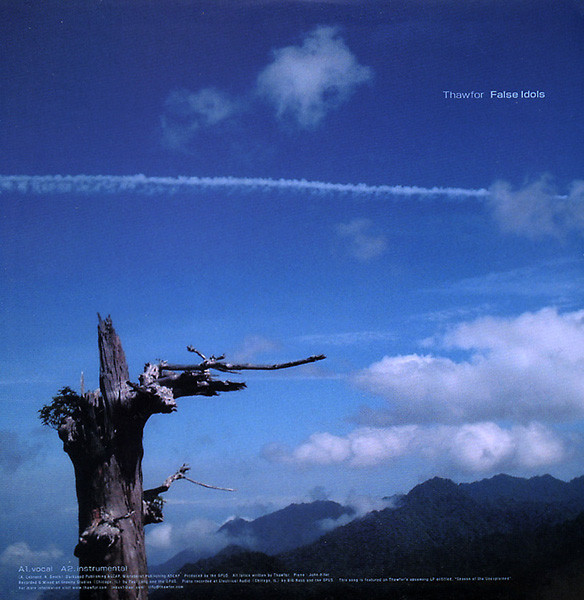 Cover for False Idols / Rappers & Chemicals