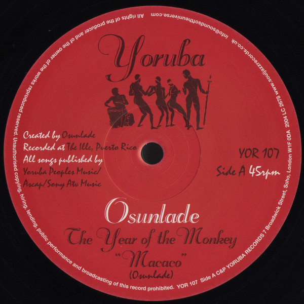 Cover for The Year Of The Monkey