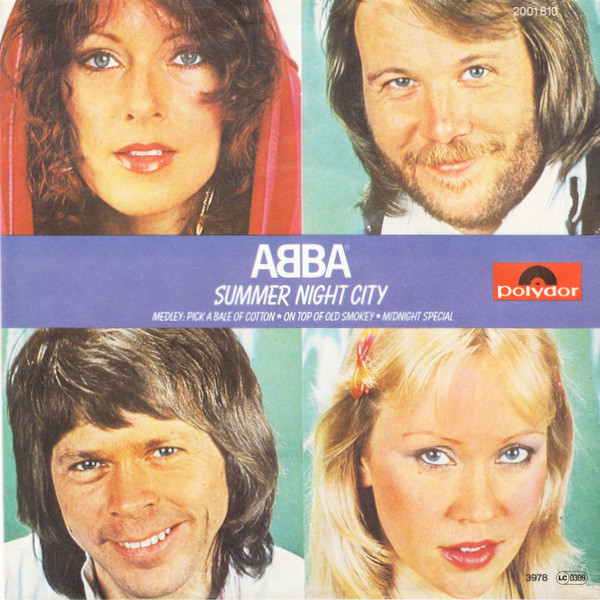 Cover for Summer Night City