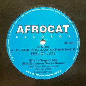 Cover for Feel My Love