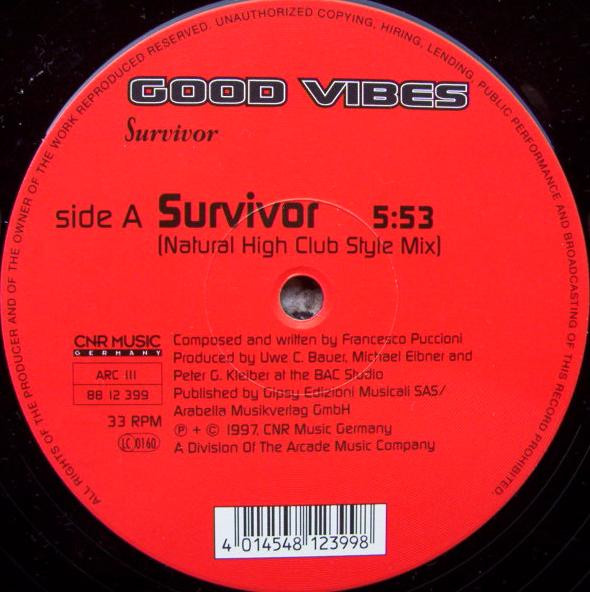 Cover for Survivor / Alana's Party