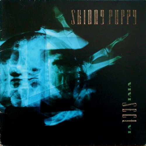 Cover for VIVIsectVI