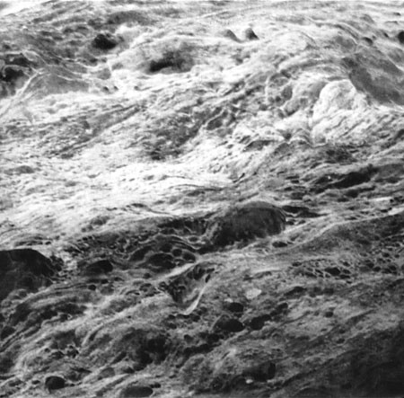 Cover for Water Tower