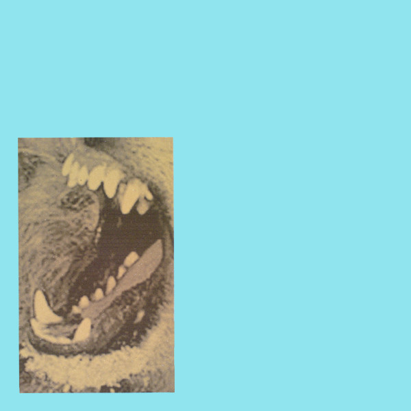 Cover for Bare Those Excellent Teeth II