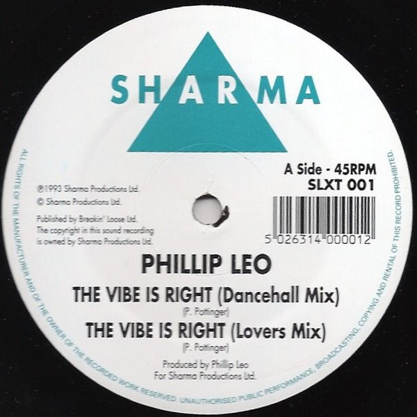 Cover for The Vibe Is Right