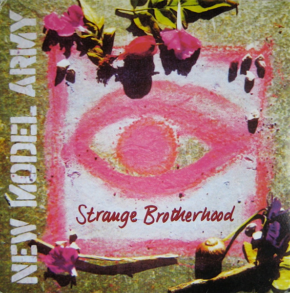 Cover for Strange Brotherhood
