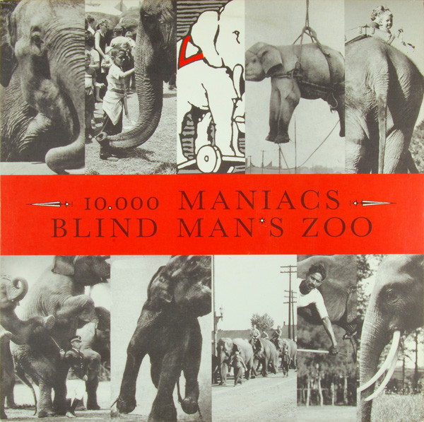 Blind Man's Zoo