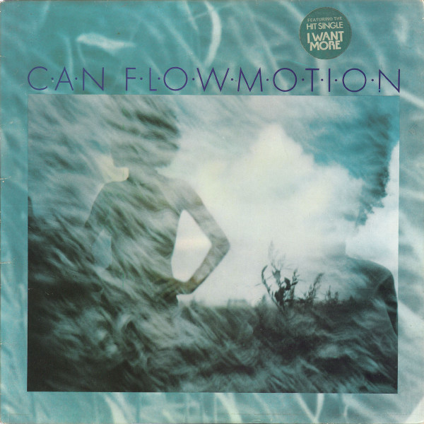 Flow Motion