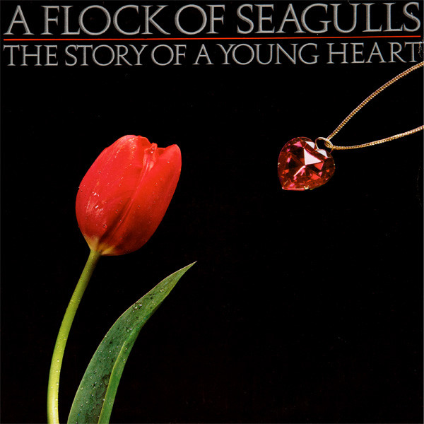 The Story Of A Young Heart